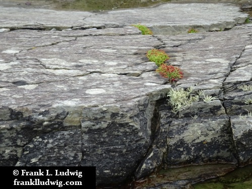 Valentia Island